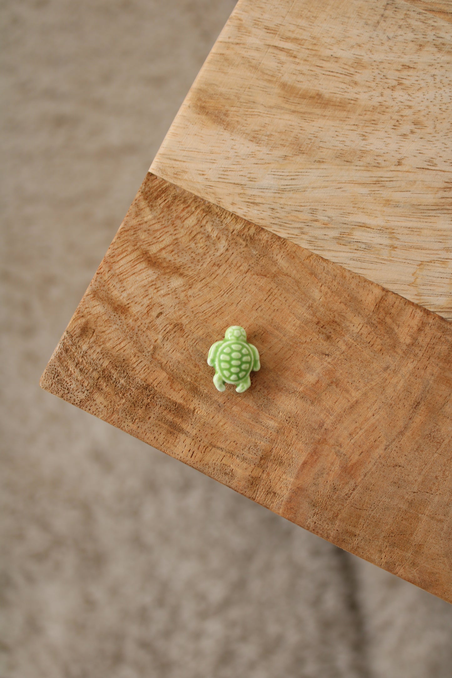 Charm Tortue