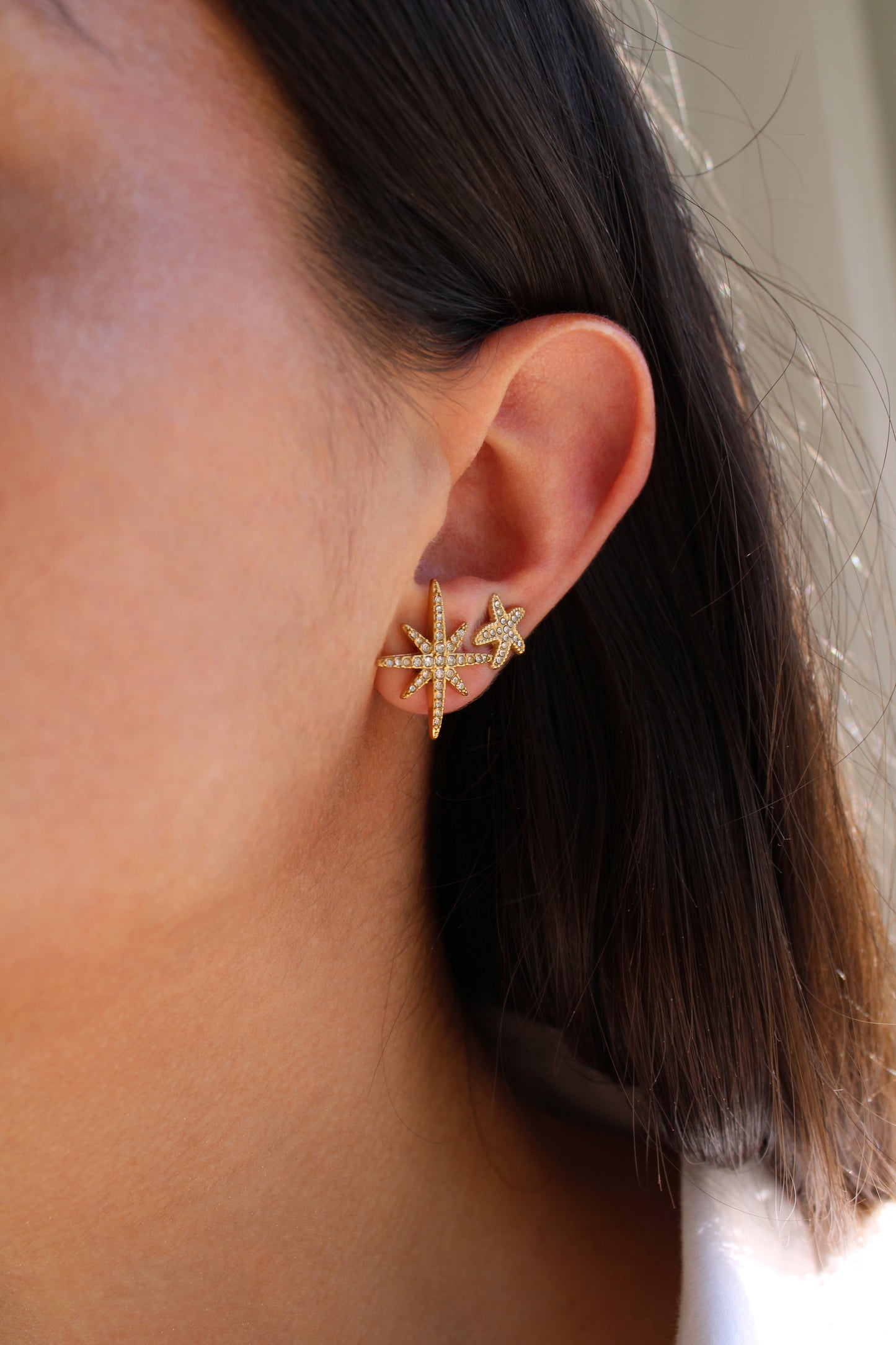 Piercing OCÉA