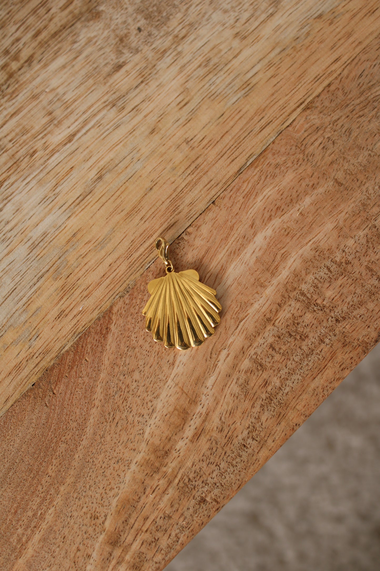 Charm Grand Coquillage