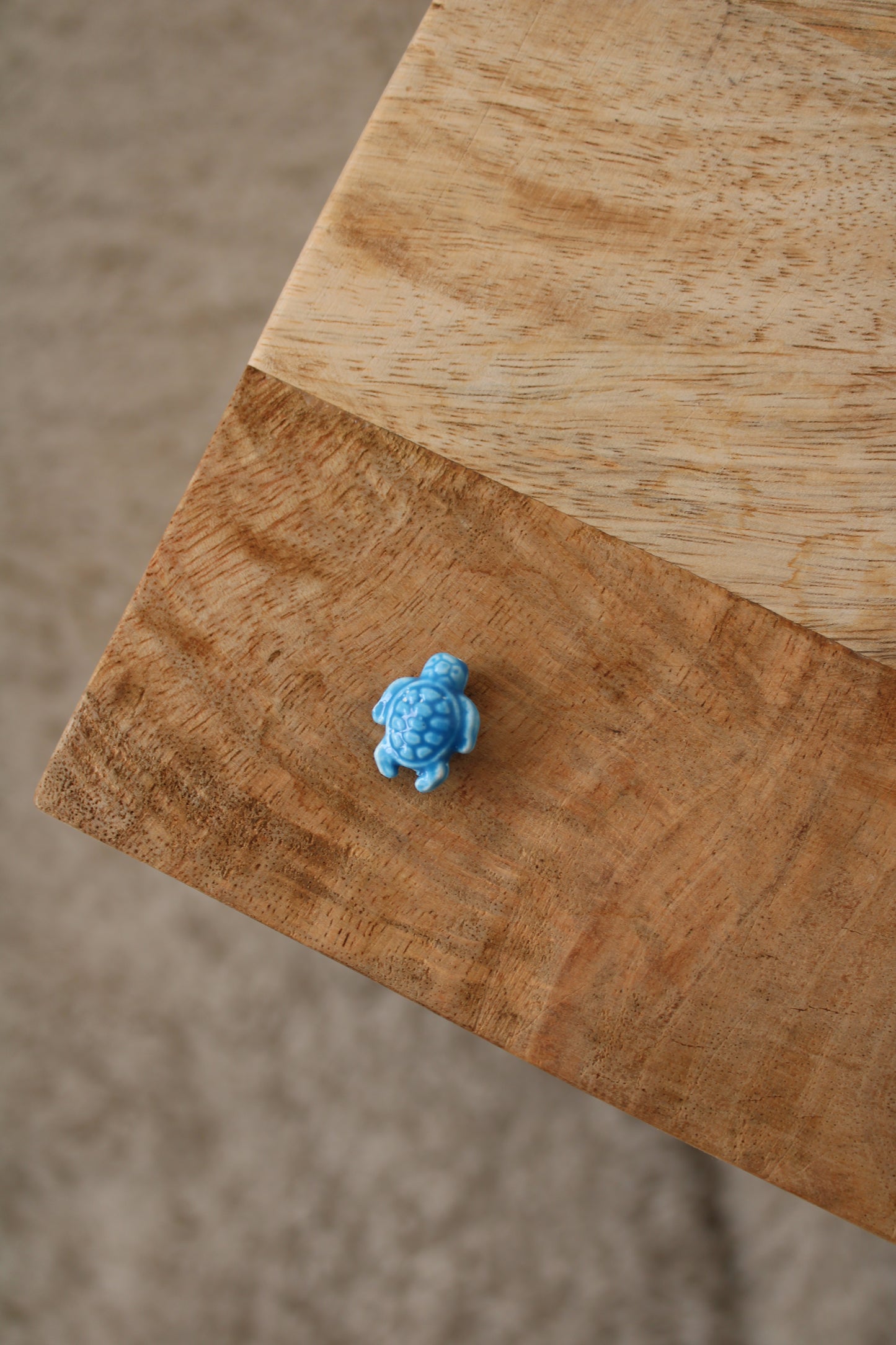 Charm Tortue