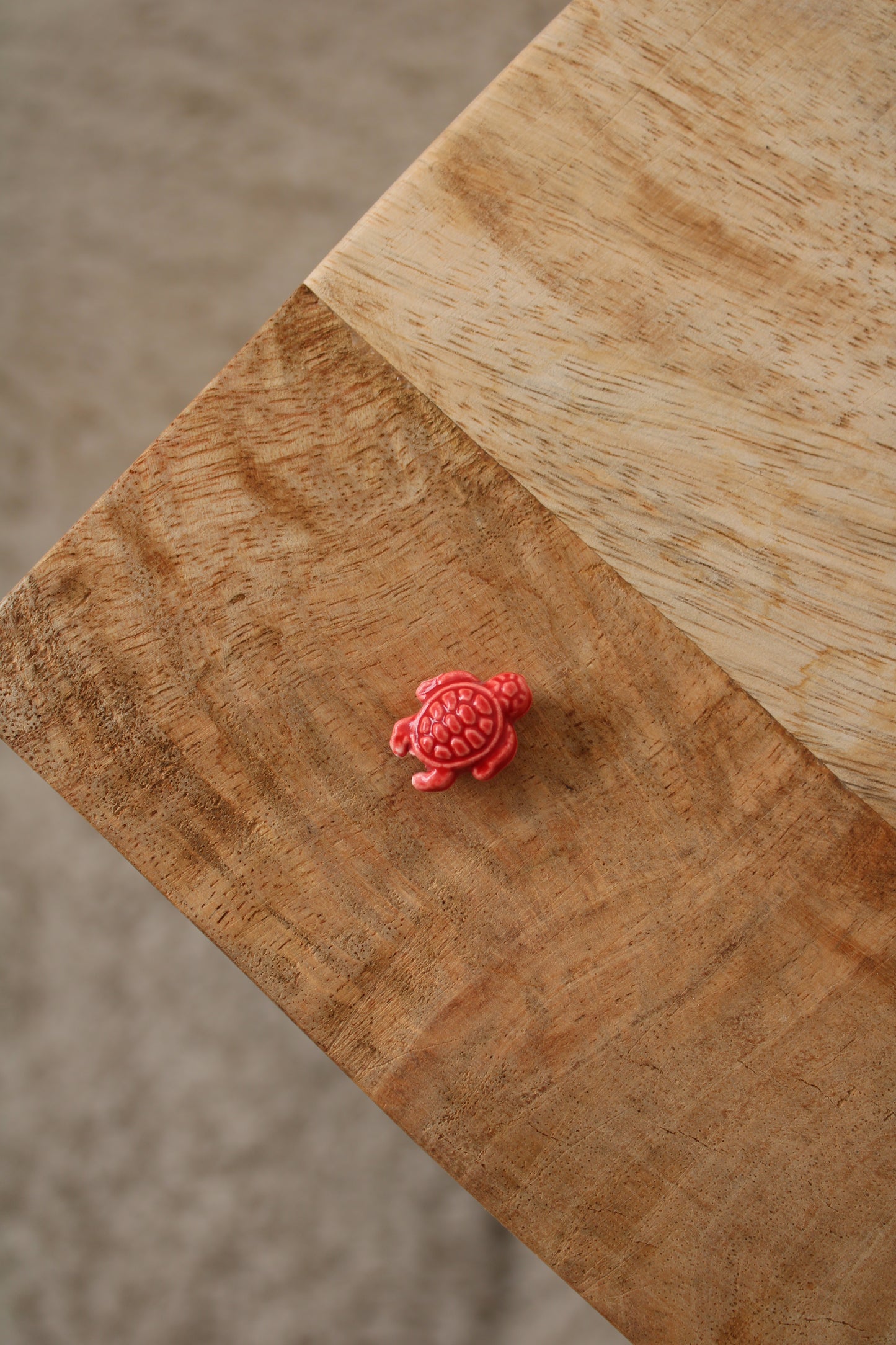 Charm Tortue