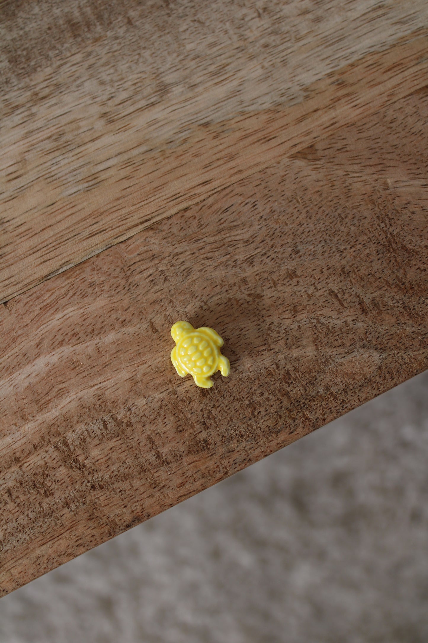 Charm Tortue