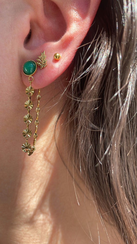 Puce d’oreille feuille